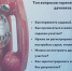 Советы для дачников: переводим садовый дом в жилой и оформляем земельный участок без документов - Воскресенский район